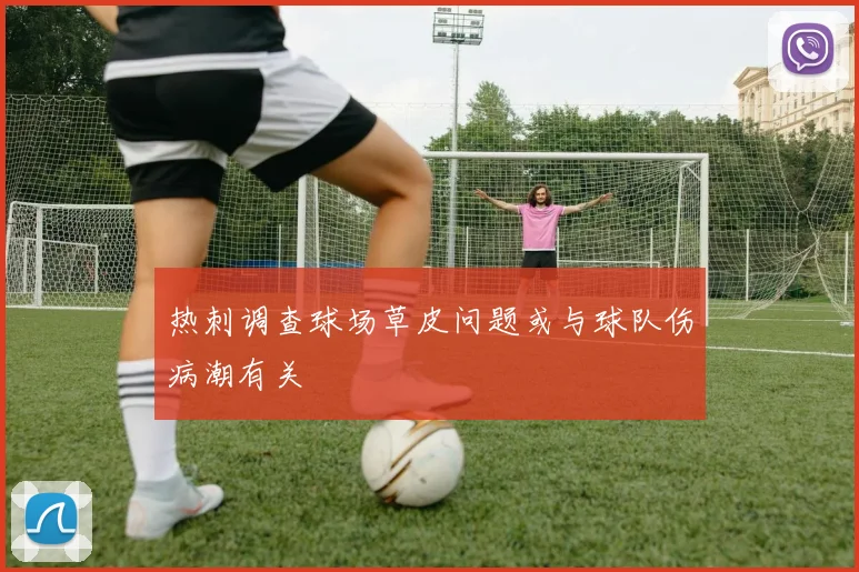 热刺调查球场草皮问题或与球队伤病潮有关